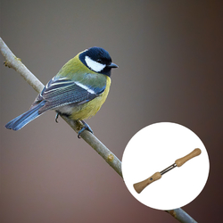 Coffret appeaux oiseaux - Nature & Découvertes