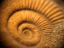 geologieo