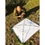 Maunakea-parapluie-japonais-espace-nature-silly