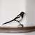 WG456_DecoBird_Magpie_Pie-maunakea