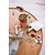 WG4709_WG552-553_KeyringLadybird_Clips-6-min