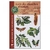 guide_des_chenilles_europe-z