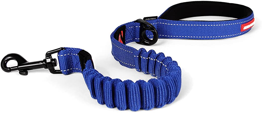 laisse zero shock bleu