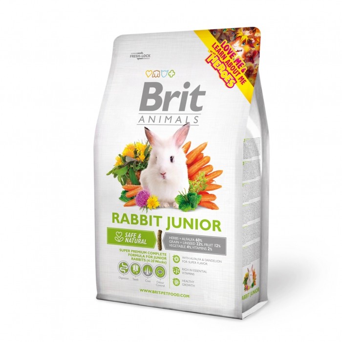 rabbit-junior-brit-animals