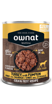 lata-turkey-pumpkin-dog_l