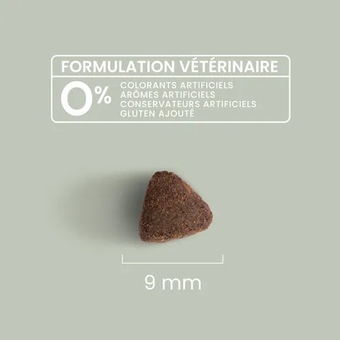 motherdog20kg2