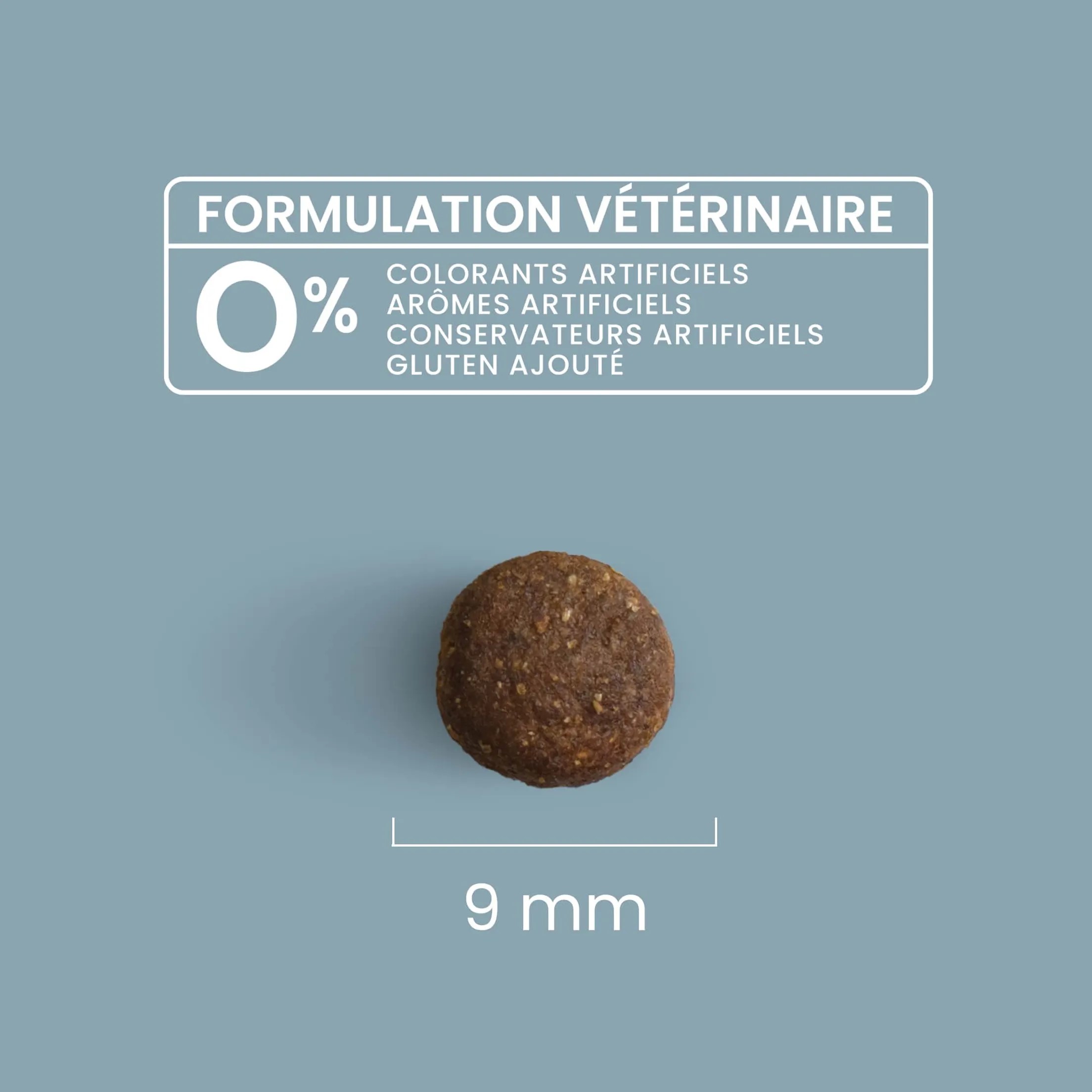 Croquettes Light Super Premium pour chien stérilisé de petite taille (10kg)3