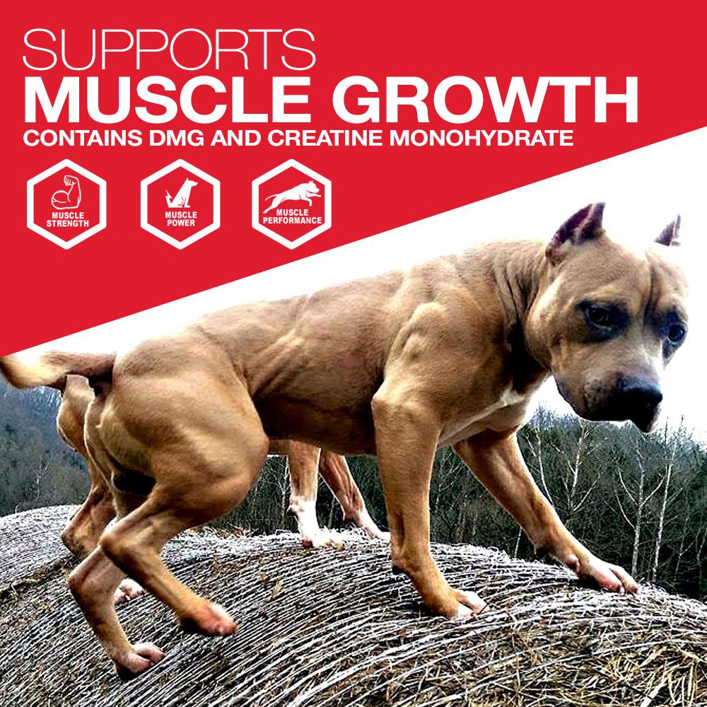 muscle_1024x1024@2x