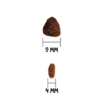 ow-classic-kitten-croquetaadl