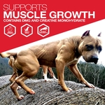muscle_1024x1024@2x
