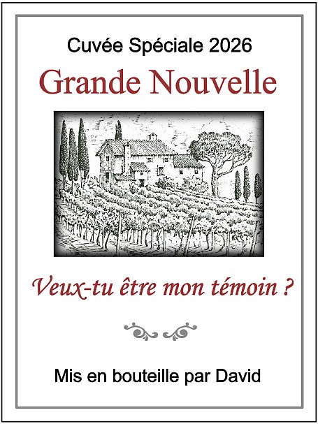 veux tu etre mon témoin