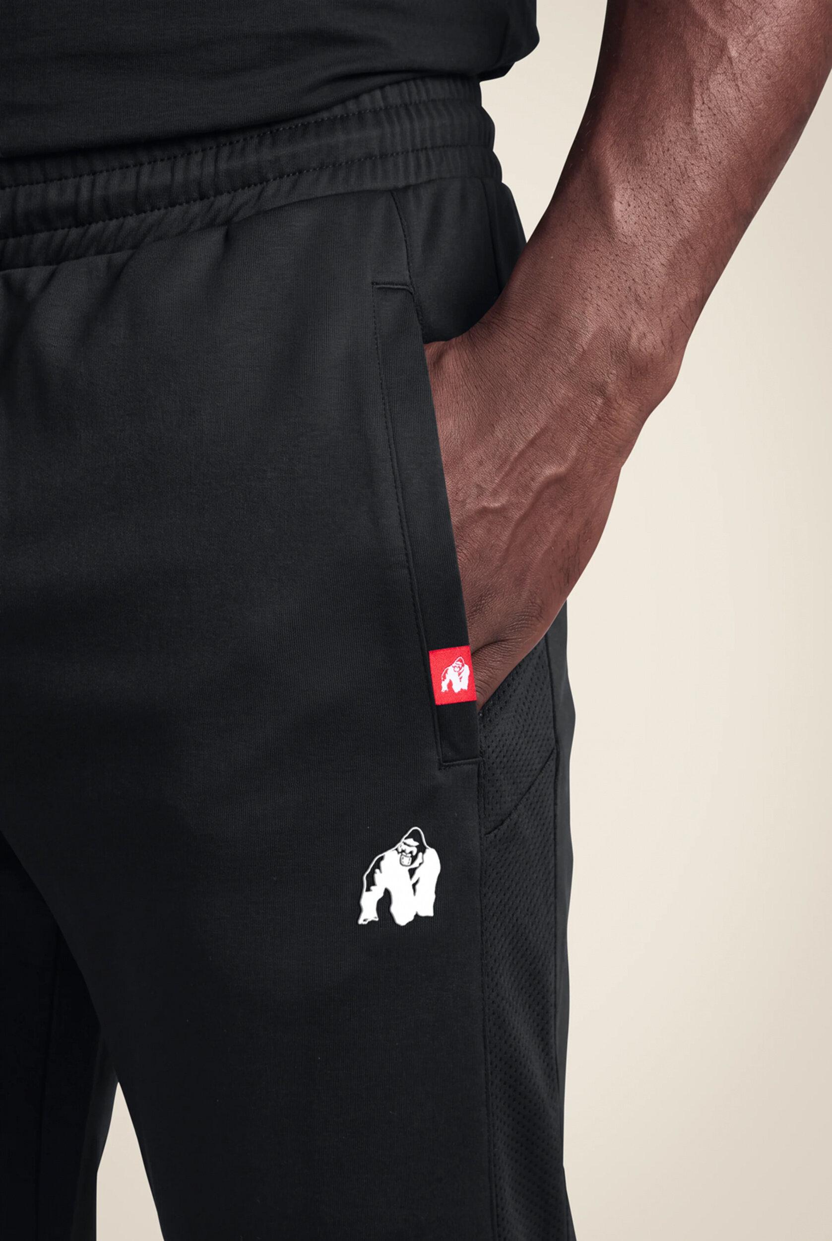 Pantalon de training Tennessee Gorilla Wear homme - Noir - vue 4