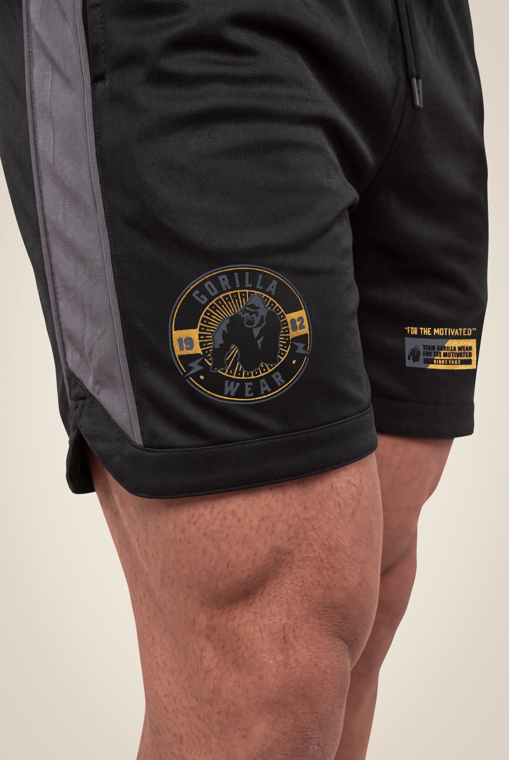 Orlando Short Gorilla Wear - Noir, vue 5