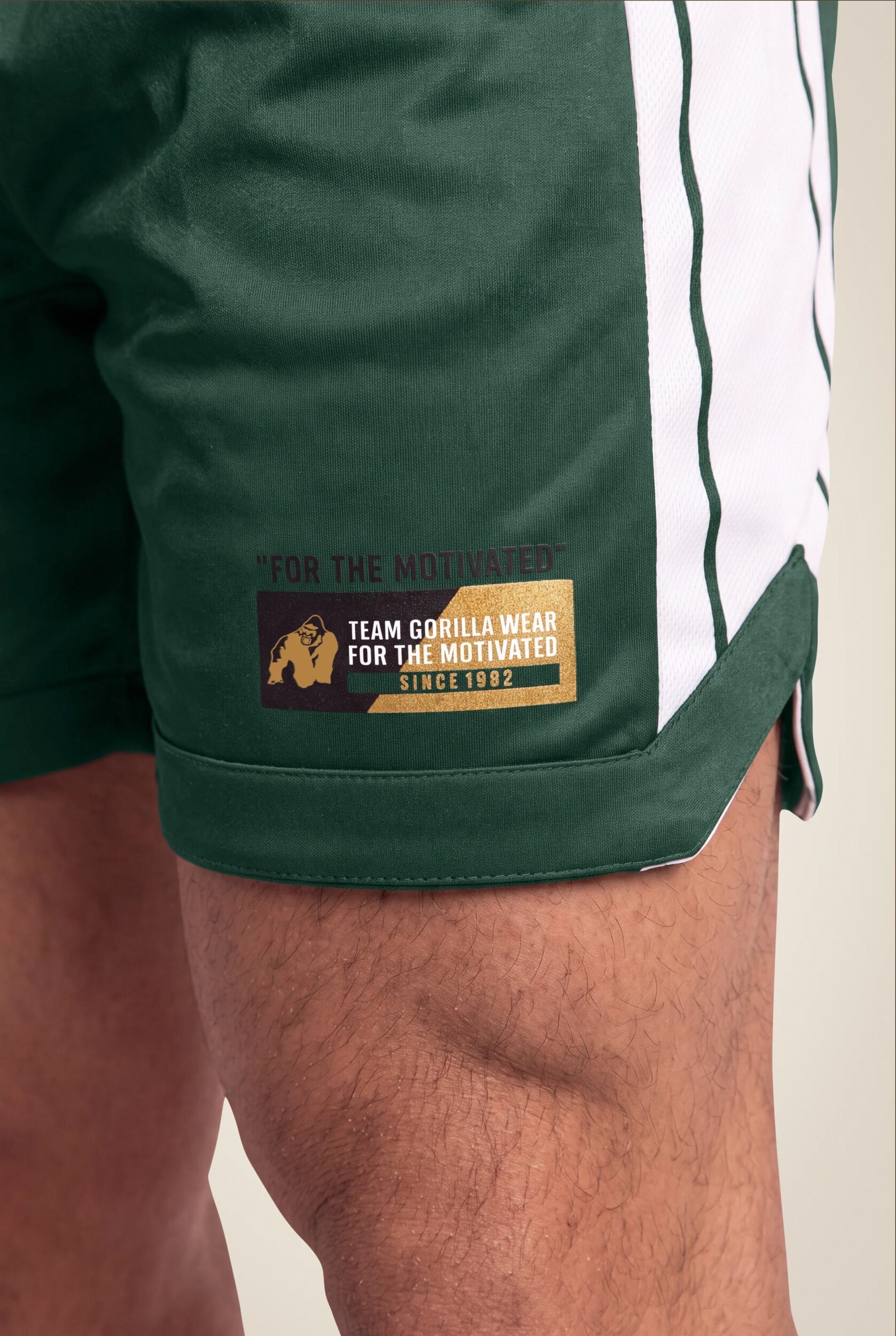 Orlando Short Gorilla Wear - Vert, vue 5