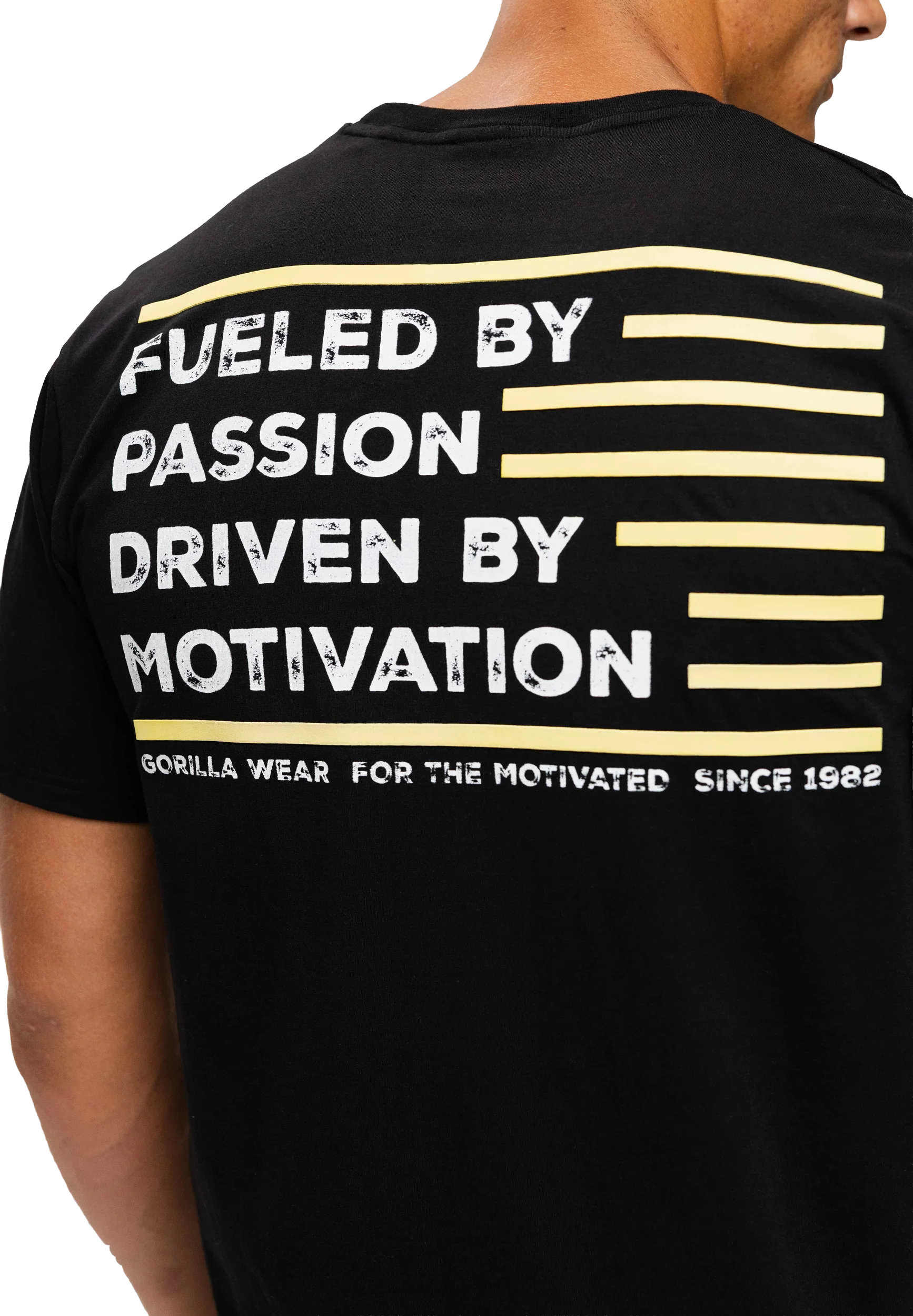 Kyle T-shirt Gorilla Wear - Noir, photo 4