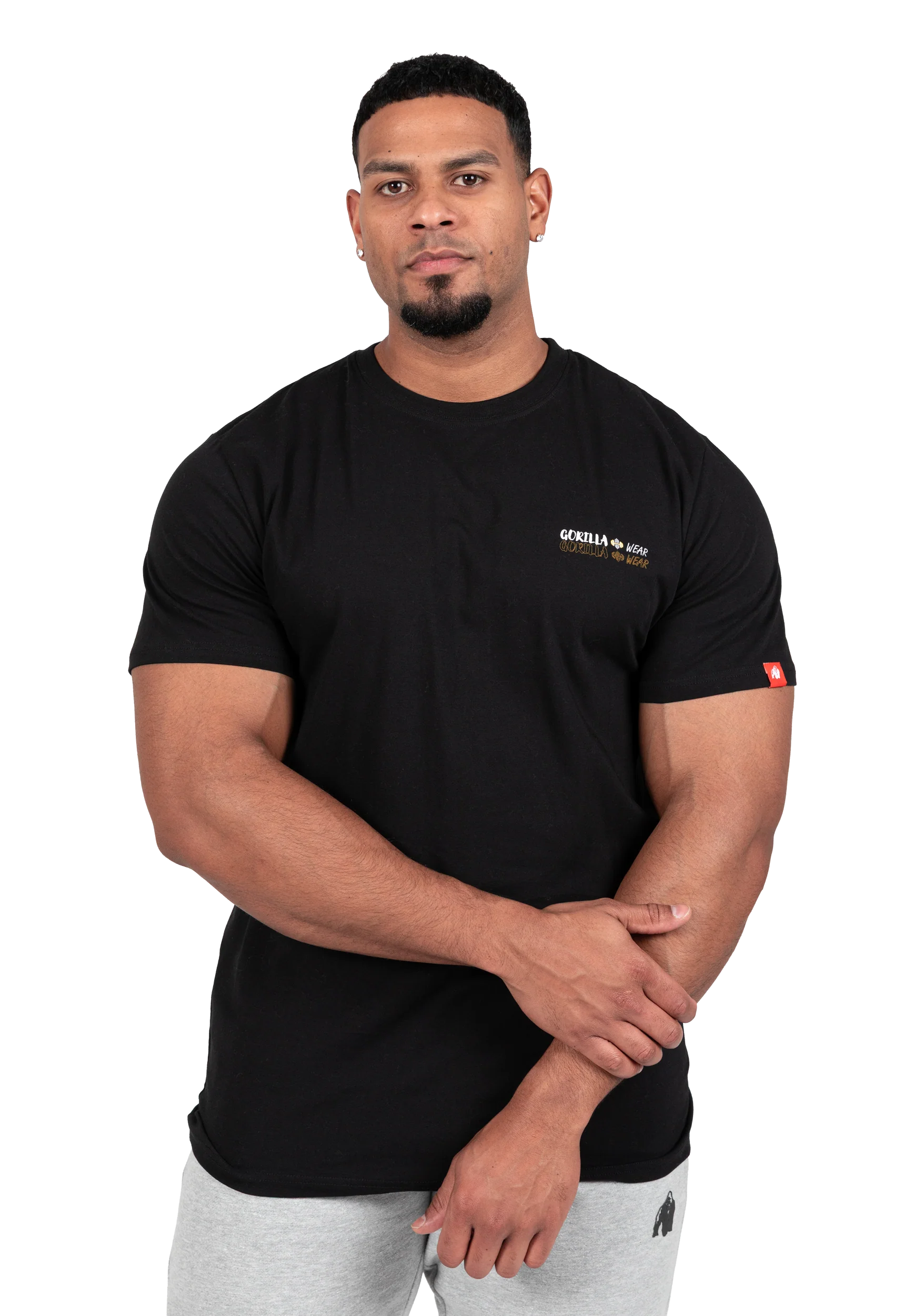 T-shirt Santa Cruz Gorilla Wear homme - Noir photo 1