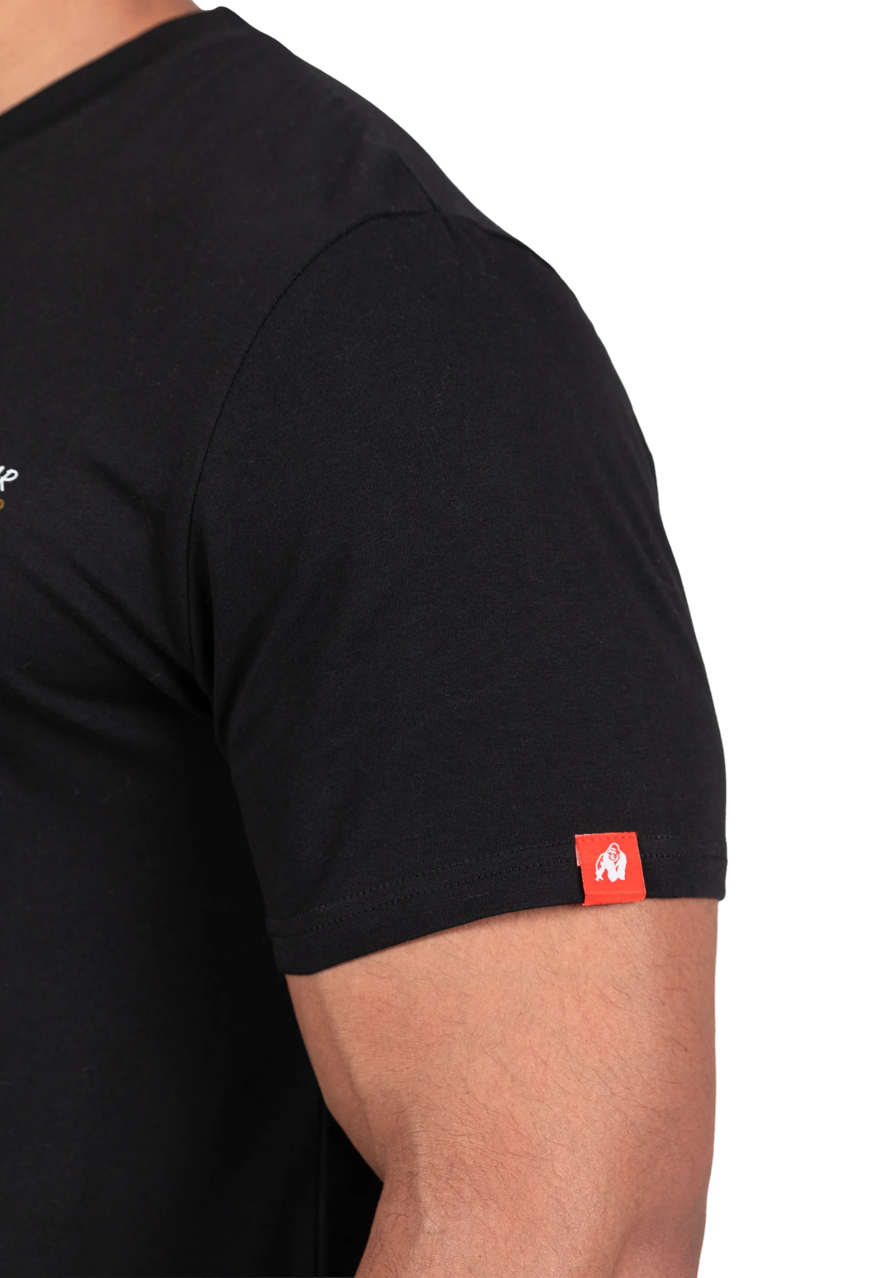 T-shirt Santa Cruz Gorilla Wear homme - Noir photo 4