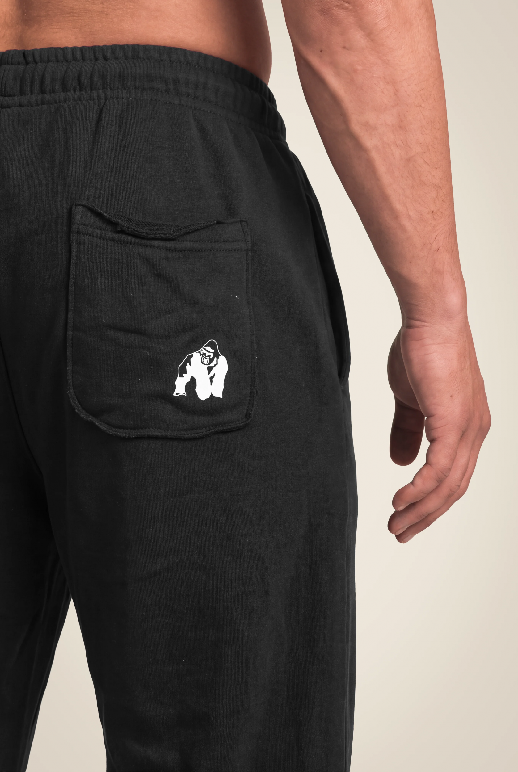 Pantalon Asheville Raw Gorilla Wear homme - Noir 5