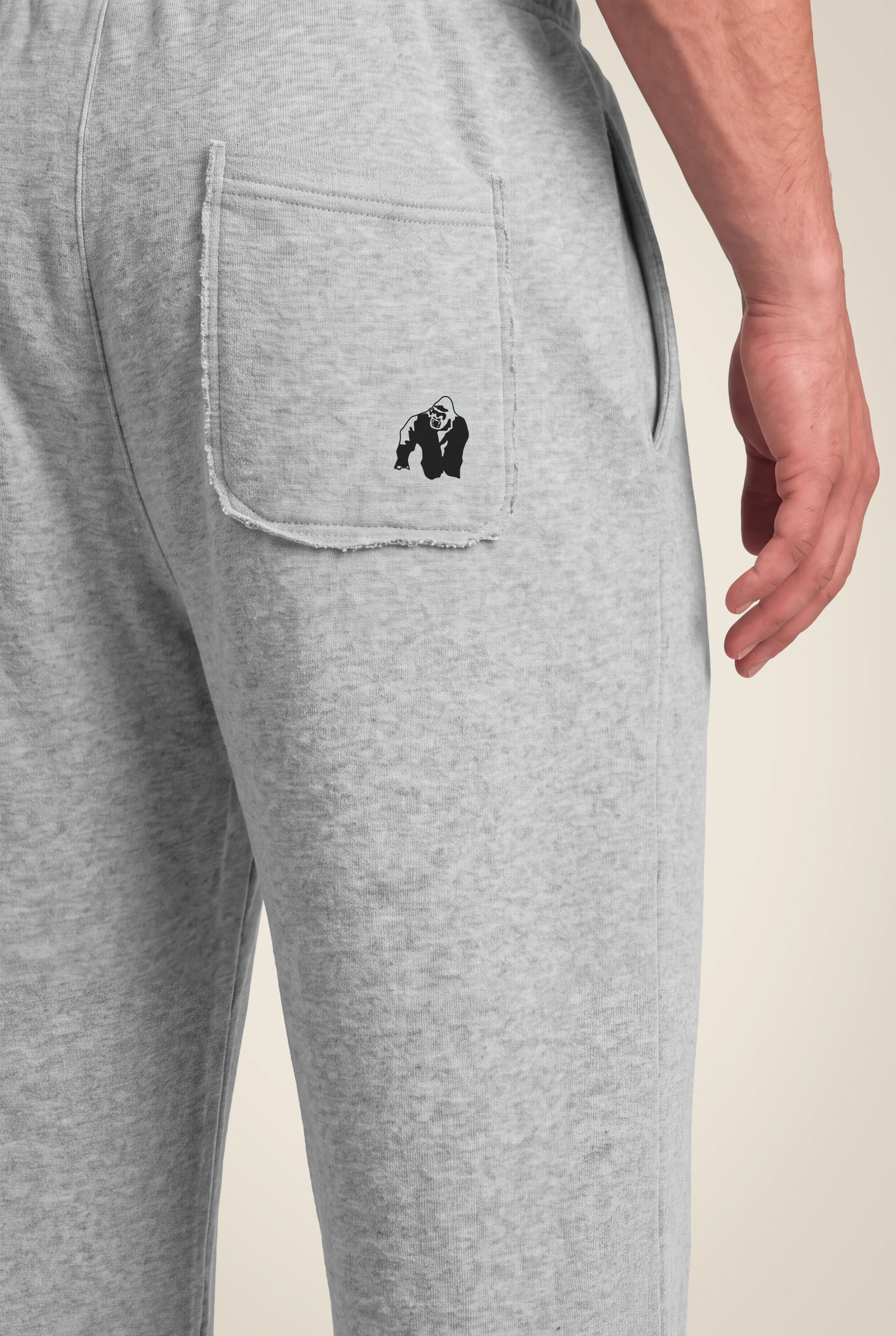 Pantalon Asheville Raw Gorilla Wear homme - Gris 5