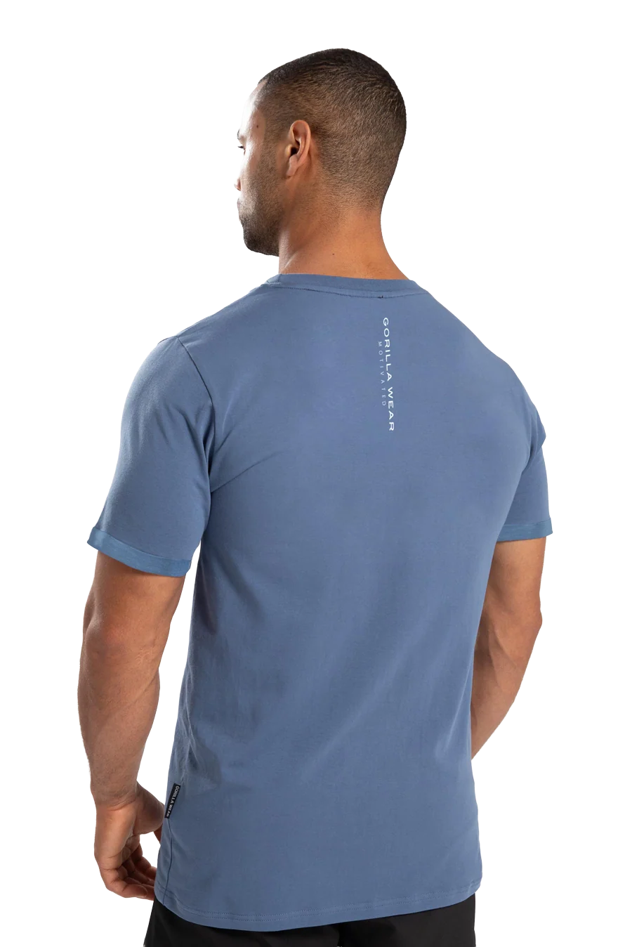 T-shirt Bradley Gorilla Wear homme - Bleu, visuel 2
