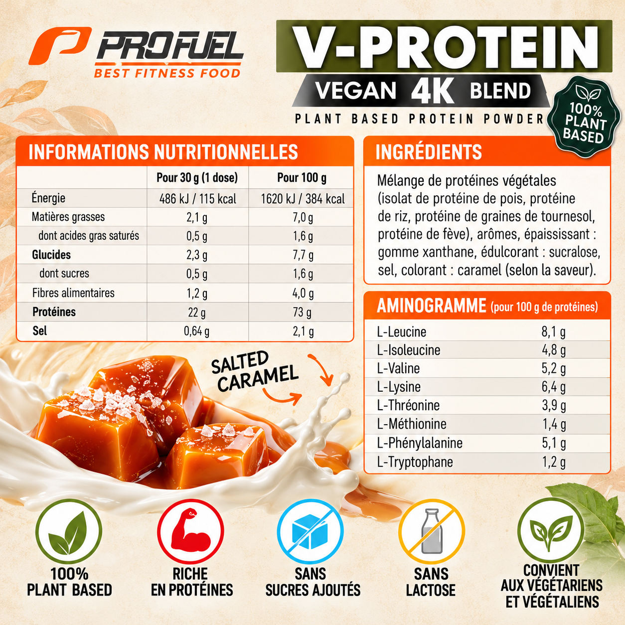 ProFuel V-PROTEIN mélange végétalien 4K 750 g ingredients