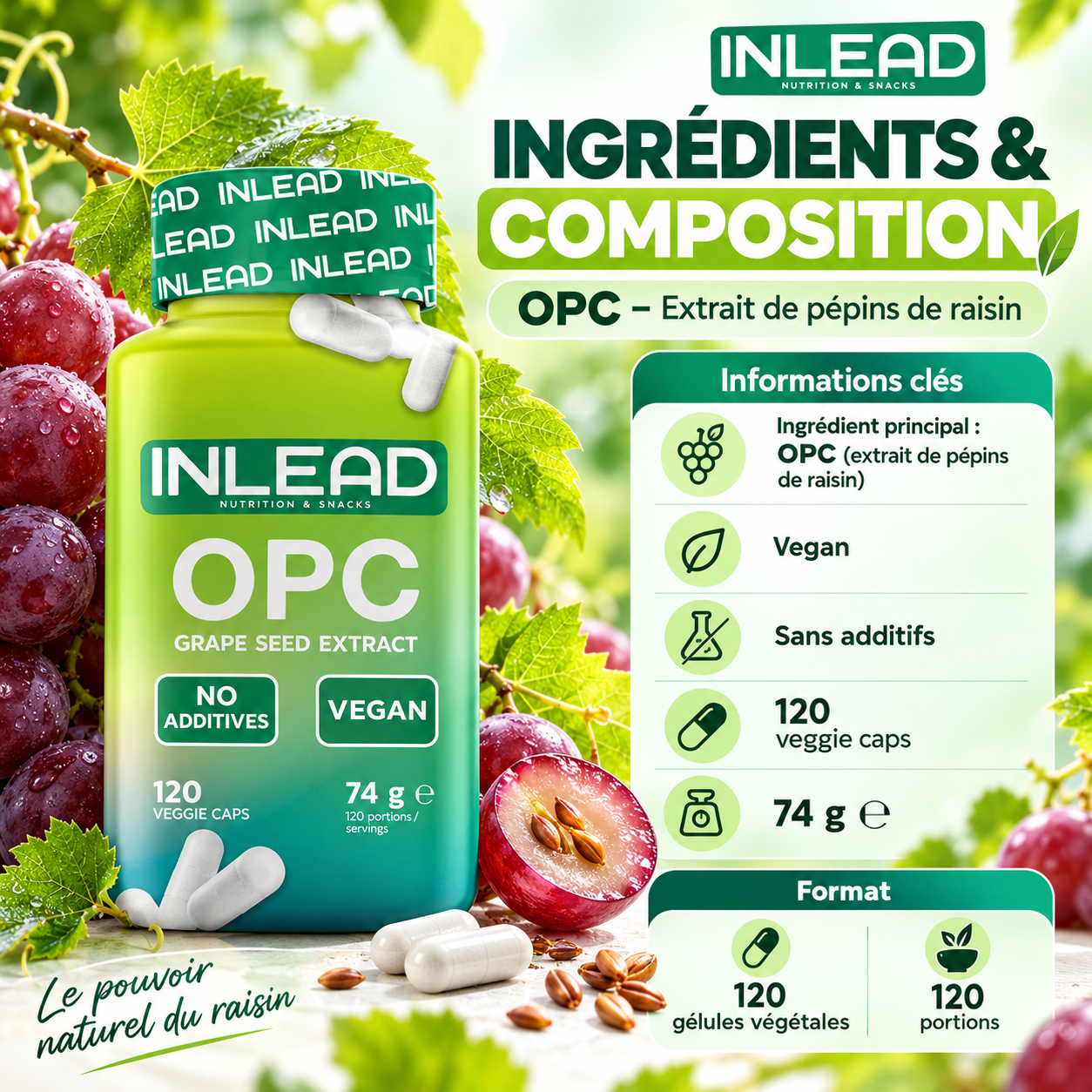 INLEAD OPC Extrait de pépins de raisin 120 capsules ingredients