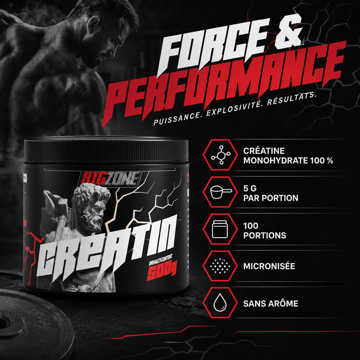 Big Zone Creatin 5 g par portion 100 portions