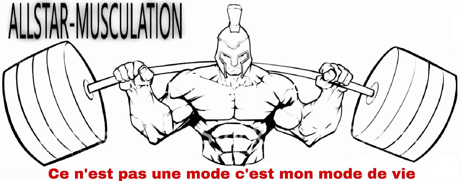 ALLSTAR-MUSCULATION