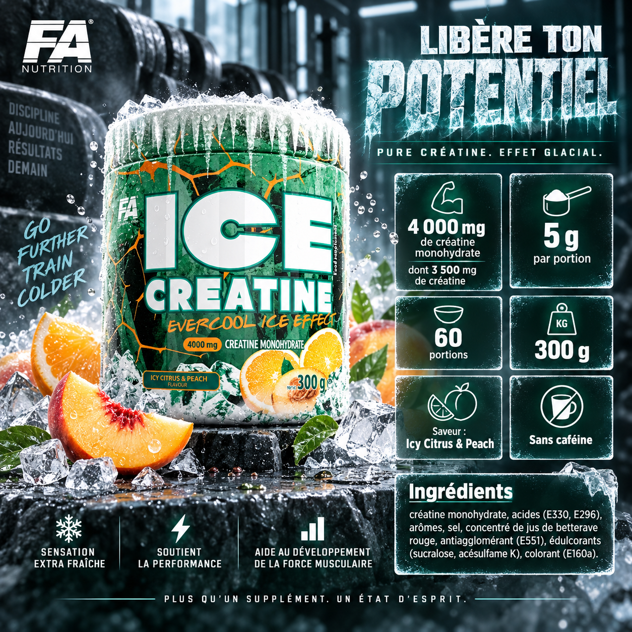 FA Nutrition ICE Creatine 300 g ingredients