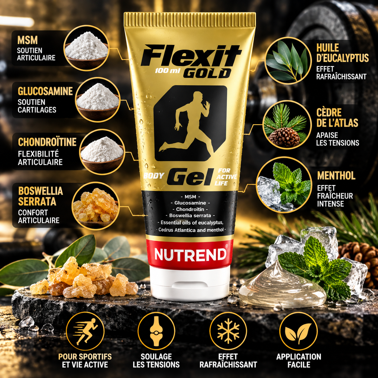 Nutrend Flexit Gold Gel 100 ml ingredients