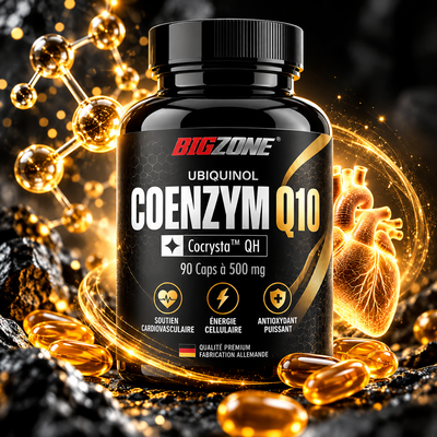 Big Zone Q10 Ubiquinol 90 Kapseln
