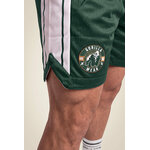 Orlando Short Gorilla Wear - Vert, vue 4