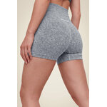 Quincy Seamless Short Gorilla Wear - Gris chiné, vue 4