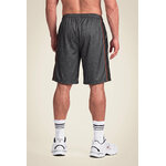 Wallace Mesh Short Gorilla Wear - Gris/Orange, vue 2