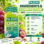 INLEAD OPC Extrait de pépins de raisin 120 capsules ingredients