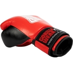 asthon-pro-boxing-gloves (3)