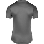 raleigh-t-shirt-gray (4)