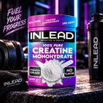 INLEAD Creatine Monohydrate 500 g