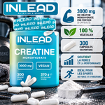 creatine inlead