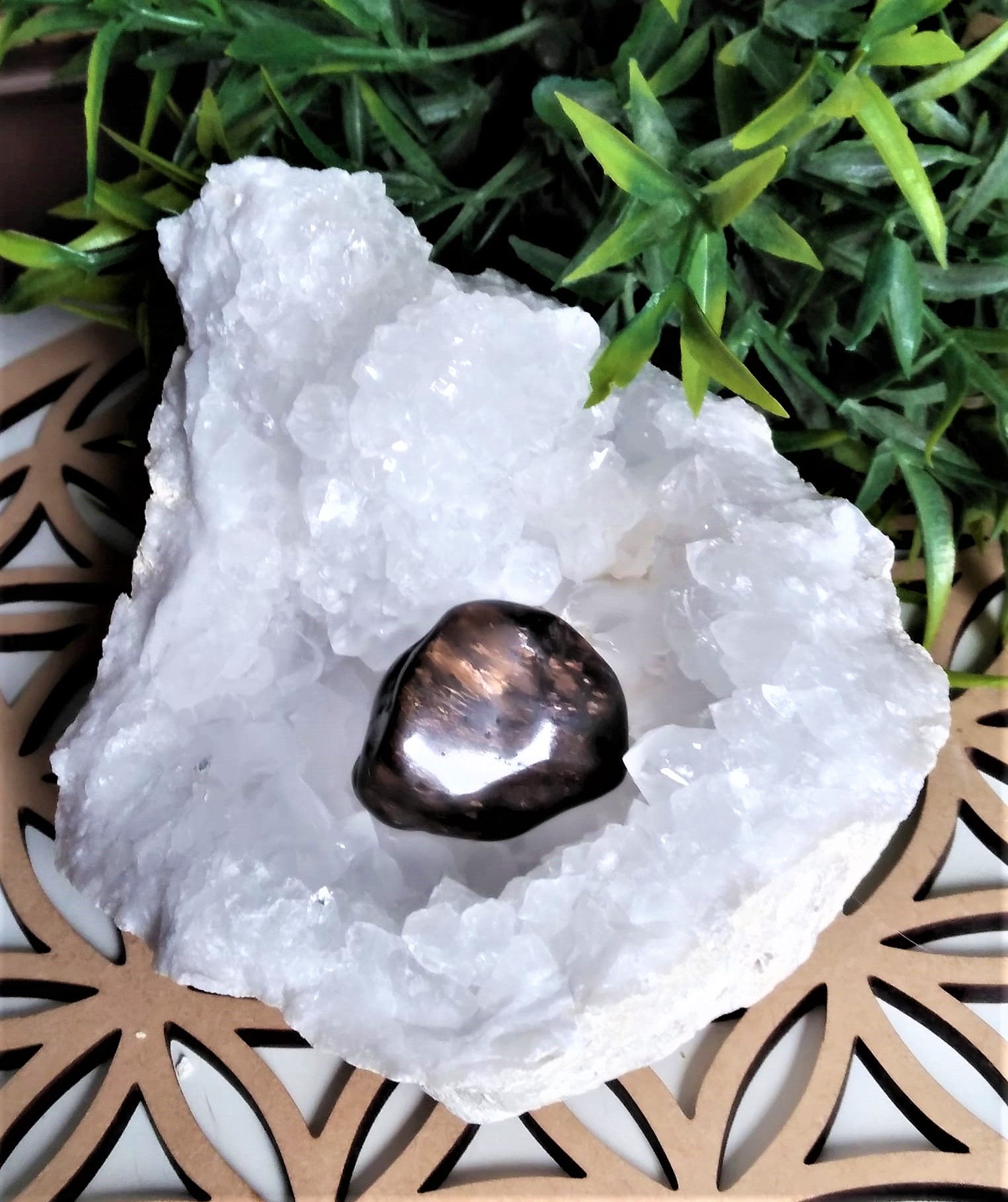 bronzite03