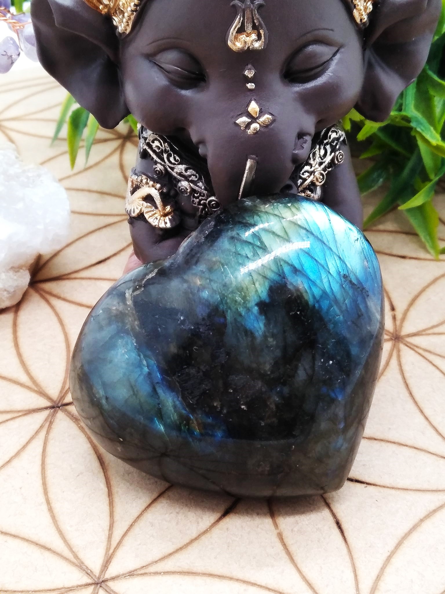 coeur-labradorite