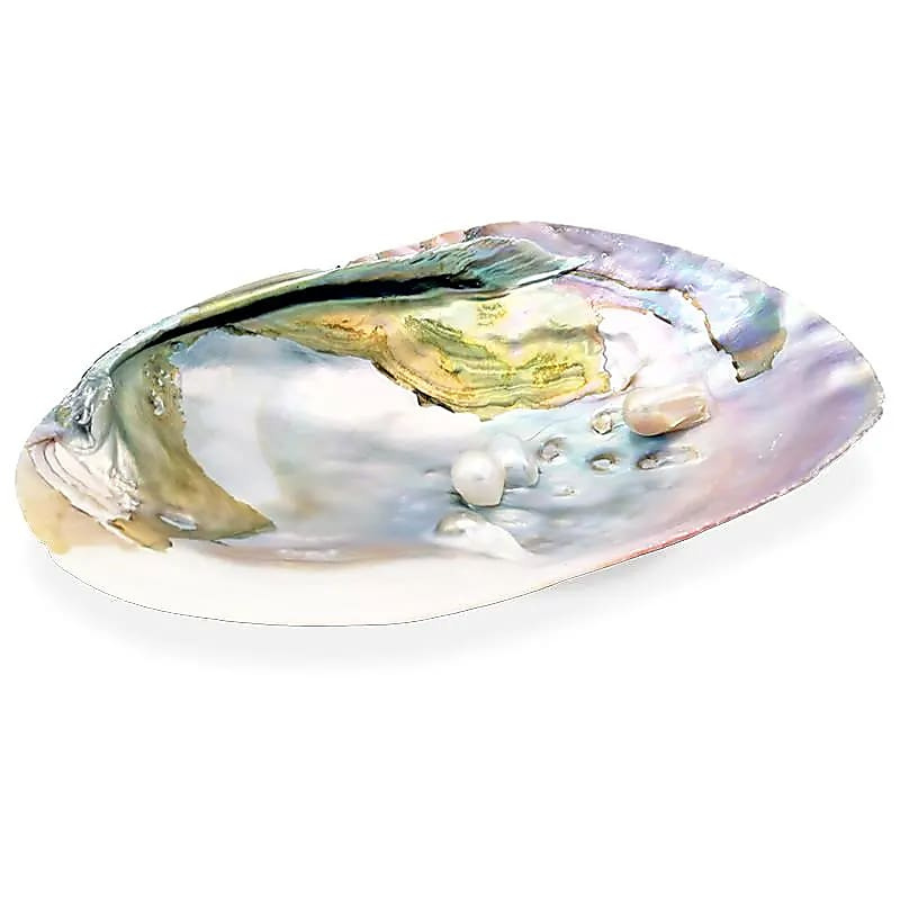 crea-idea-home-coquillage-nacre-1