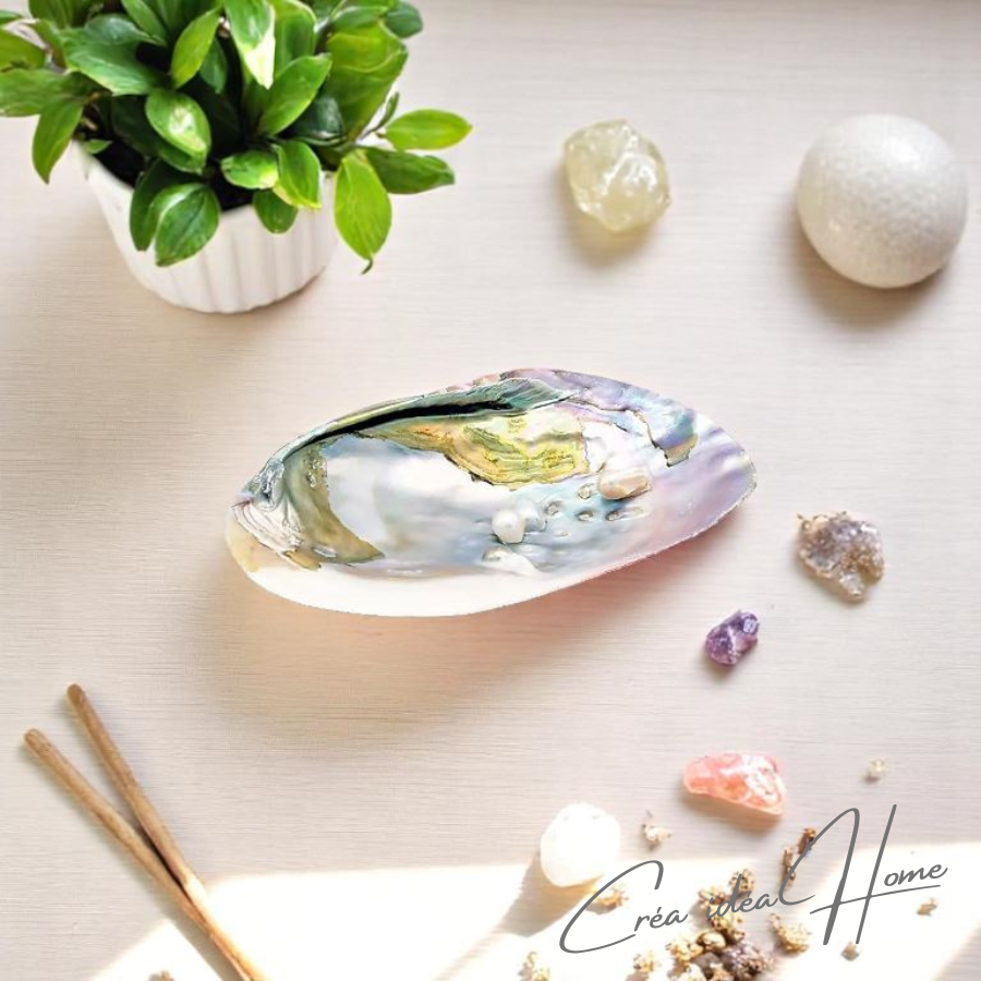 crea-idea-home-coquillage-nacre-3