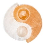 6338_0000004515!560x560