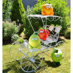 fruit2