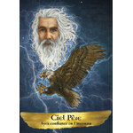 oracle-des-esprits-protecteurs-coffret-26-ttc (4)
