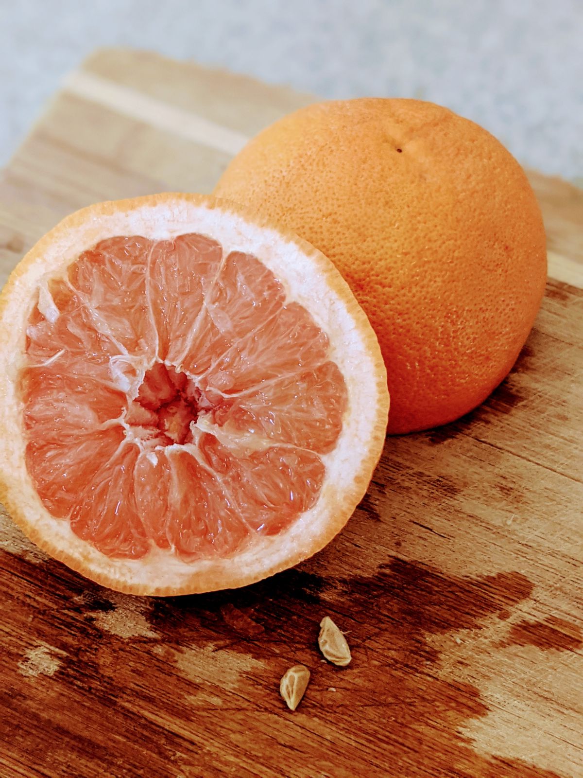 growing a grapefruit tree from seed 20221102 142135657