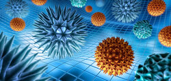 Fotolia_63411385_M