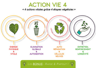 ACTION VIE 4