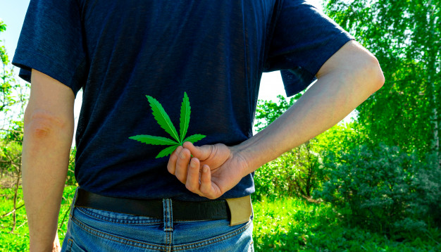CBD : Comment en parler à mes proches ?